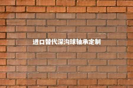 进口替代深沟球轴承定制 
