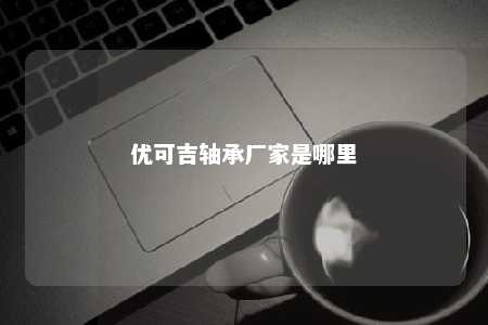 优可吉轴承厂家是哪里 